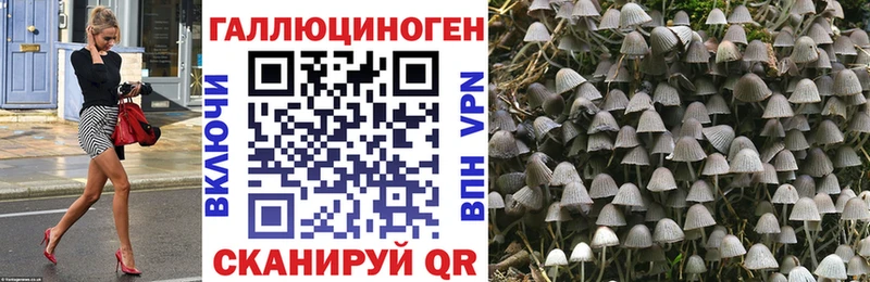 Галлюциногенные грибы MAGIC MUSHROOMS  Купить где  Мариинский Посад 